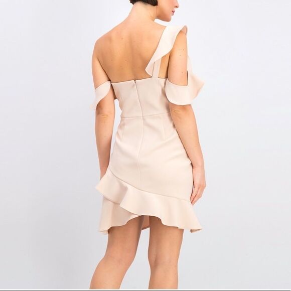 BCBGMAXAZRIA Womens Malik Sleeveless Asymmetrical Ruffle Mini Dress Bare Pink 12 - Picture 6 of 8